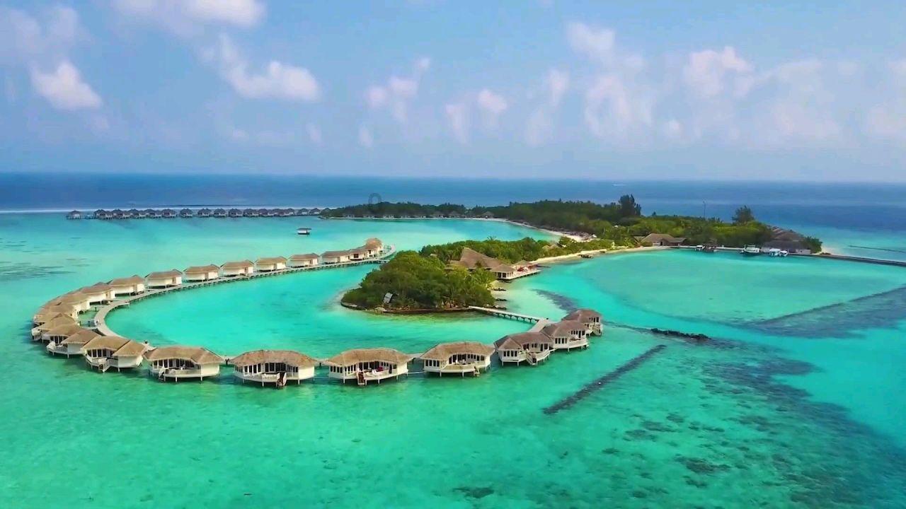 股海导航 1月23日沪深股市公告与交易提示